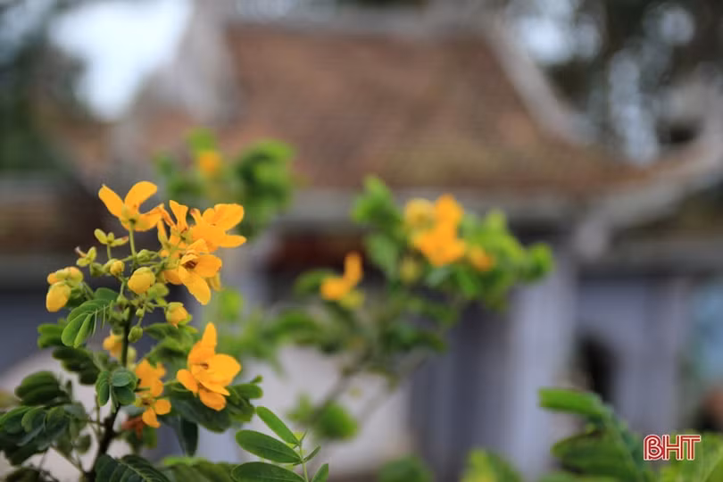 Xuân sớm trên “Hoan Châu đệ nhất danh lam” 