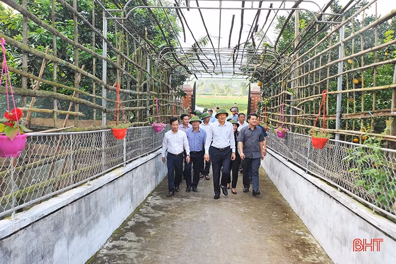 Vũ Quang lan toả phong trào làm vườn mẫu, cụm dân cư xanh - sạch - đẹp