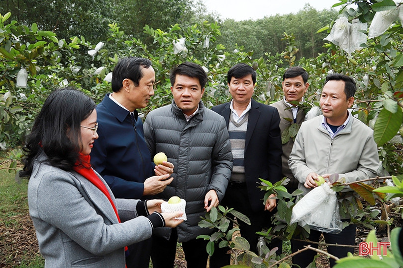 Xã nông thôn mới nâng cao ở Hà Tĩnh phải nhìn được hướng phát triển