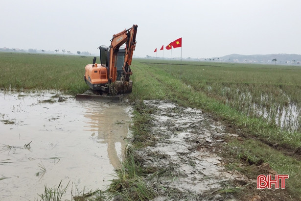 40 ha mạ lúa xuân 2021 của Hà Tĩnh đã xuống giống