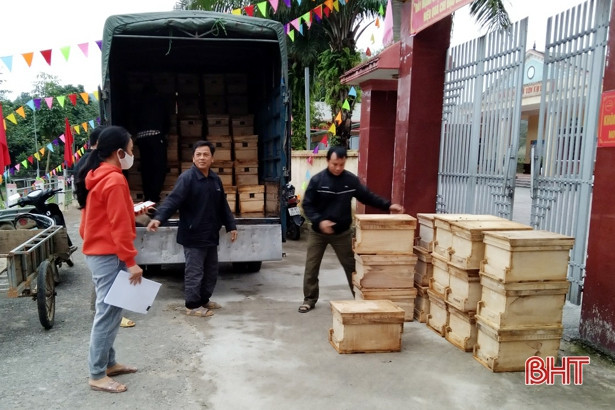 800 đàn ong giống giúp người dân Hương Sơn xây dựng mô hình VietGAP