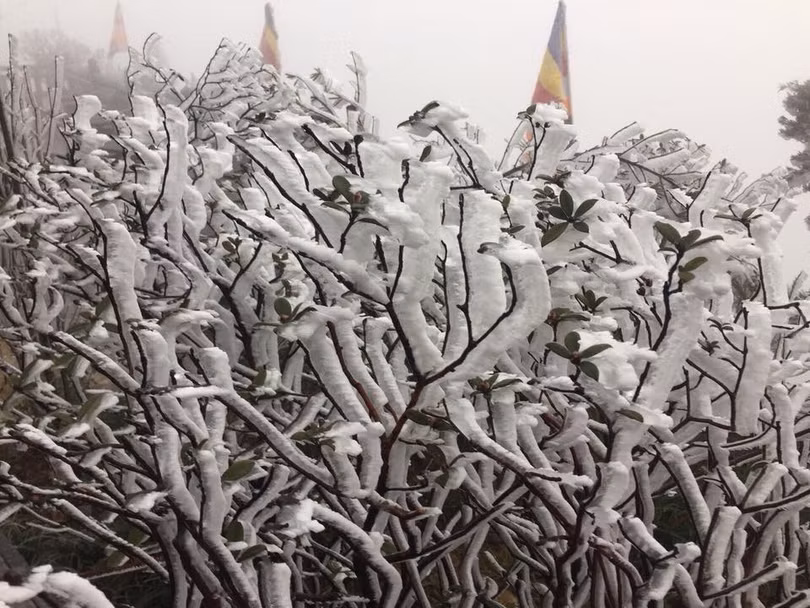 Đợt rét hại sắp tới ở miền Bắc khắc nghiệt thế nào?