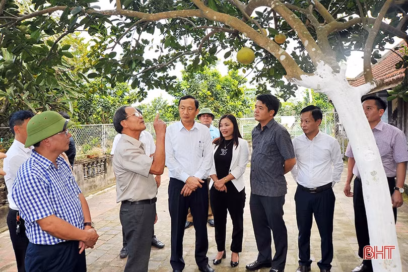 Vũ Quang lan toả phong trào làm vườn mẫu, cụm dân cư xanh - sạch - đẹp