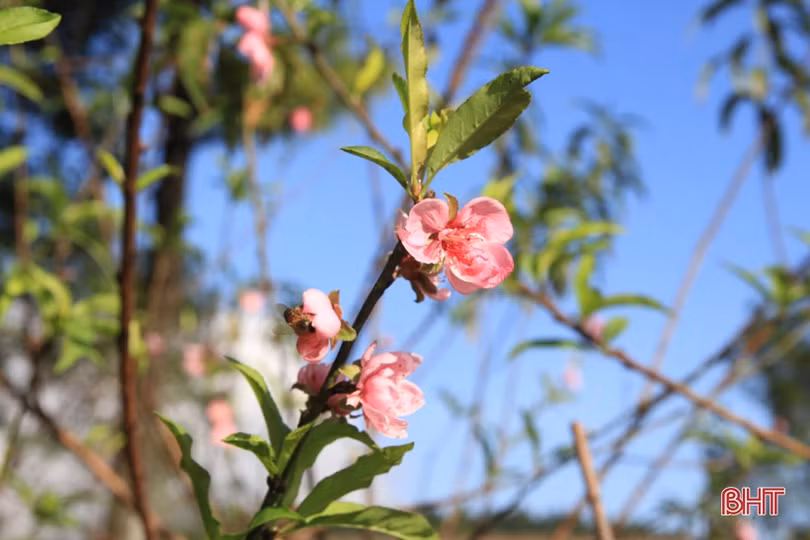 Gõ cửa năm 2021 với những ước vọng mới!