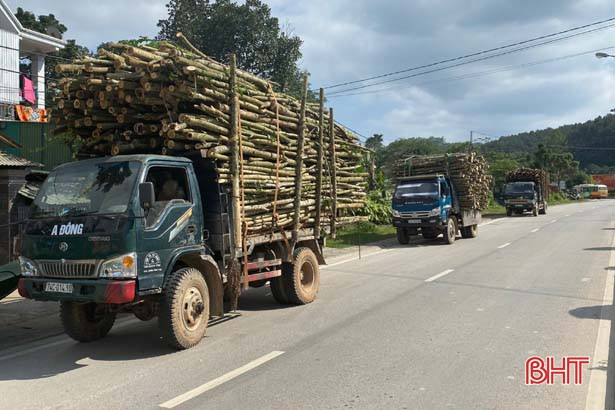 Công an Vũ Quang xử phạt hơn 80 chủ phương tiện sau 4 ngày ra quân trấn áp tội phạm