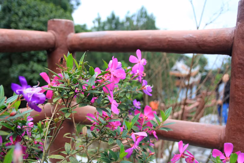 Xuân sớm trên “Hoan Châu đệ nhất danh lam” 