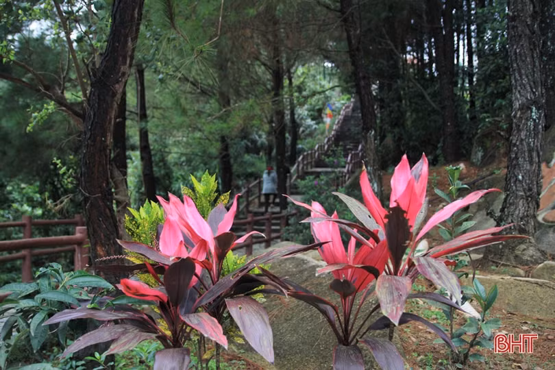 Xuân sớm trên “Hoan Châu đệ nhất danh lam” 