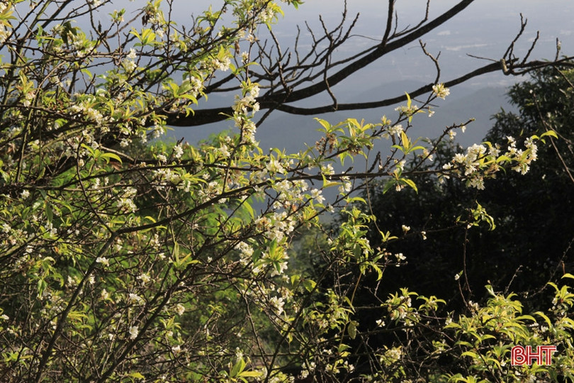 Xuân sớm trên “Hoan Châu đệ nhất danh lam” 