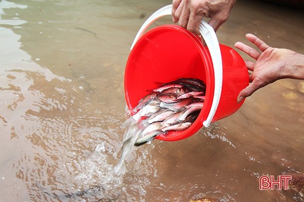 Thả 2,5 tấn cá tái tạo nguồn lợi thủy sản ở hồ Kẻ Gỗ