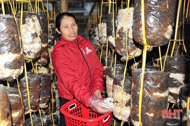 Bảo hộ nhãn hiệu - “lệnh bài” cho sản phẩm OCOP Hà Tĩnh