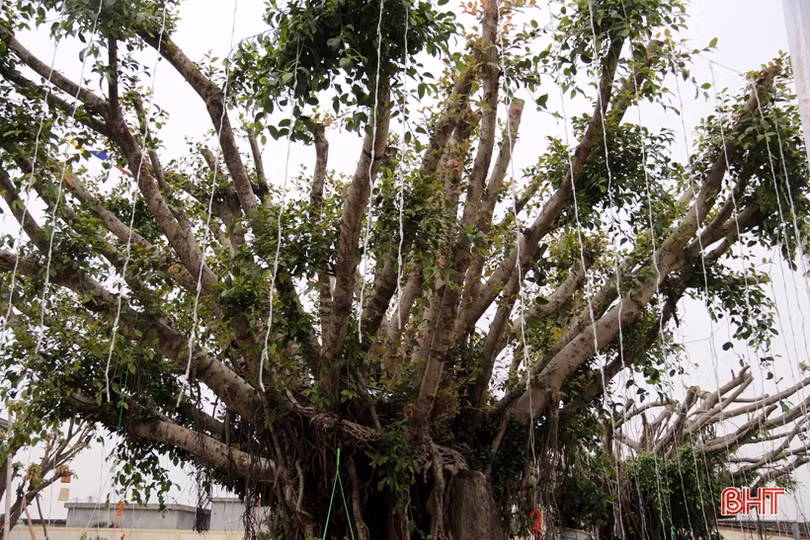 Noel ấm áp của giáo dân thị xã phía Nam Hà Tĩnh