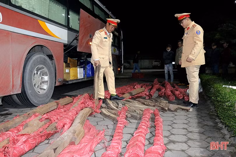 Hà Tĩnh: Phát hiện xe khách chở gần 1 tấn gỗ trắc trong đêm