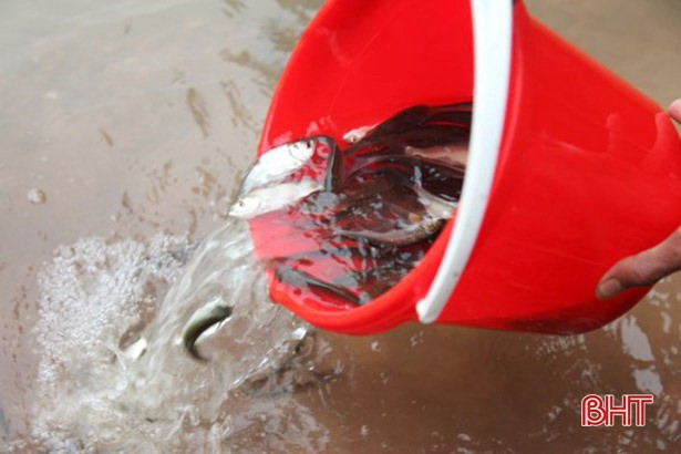 Phóng sinh hơn 2,1 tấn cá tái tạo nguồn lợi thủy sản tại hồ Nhà Đường