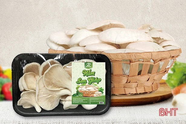 Bảo hộ nhãn hiệu - “lệnh bài” cho sản phẩm OCOP Hà Tĩnh