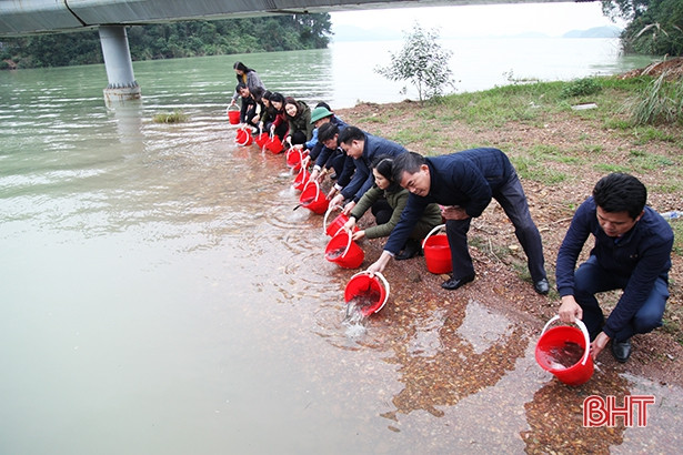 Thả 2,5 tấn cá tái tạo nguồn lợi thủy sản ở hồ Kẻ Gỗ