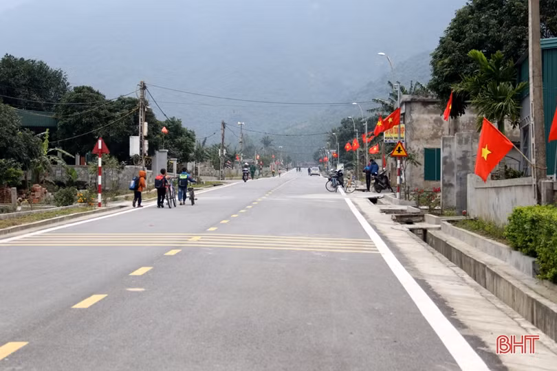 Làng mai phía Nam Hà Tĩnh tất bật vào vụ tết