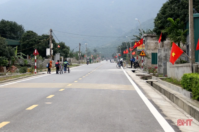 Làng mai phía Nam Hà Tĩnh tất bật vào vụ tết