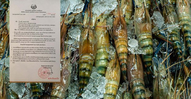 Lào cấm nhập khẩu hải sản từ Thái Lan sau khi bùng phát dịch mới hình ảnh 1 Lào cấm nhập khẩu hải sản từ Thái Lan sau khi bùng phát dịch mới