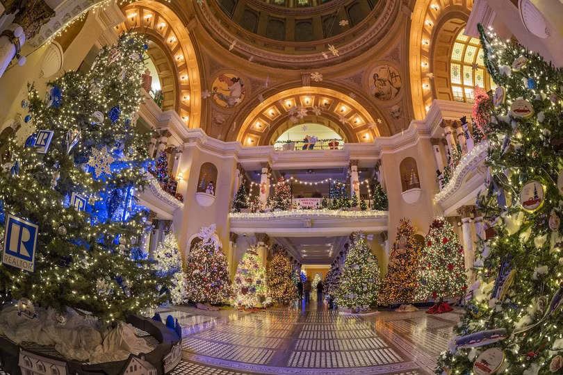 Cây thông Noel có kích thước gần bằng ngọn núi