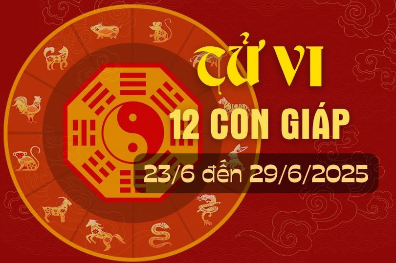 Tử vi tuần mới từ ngày 23/6 đến 29/6/2025 của 12 con giáp. tu-vi-12-con-giap-t6.jpg