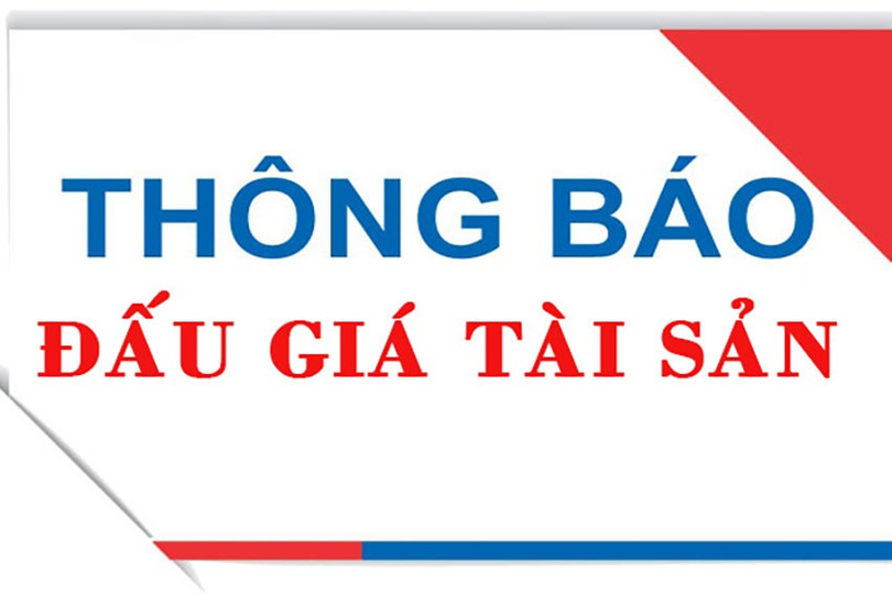 dau-gia.jpg