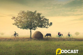 Podcast Tản văn: Mùa đông chạm ngõ