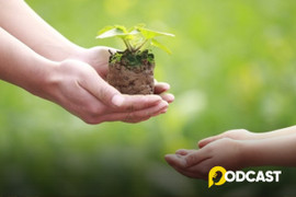 Podcast tản văn: Mùa xuân là Tết trồng cây