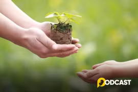 Podcast tản văn: Mùa xuân là Tết trồng cây