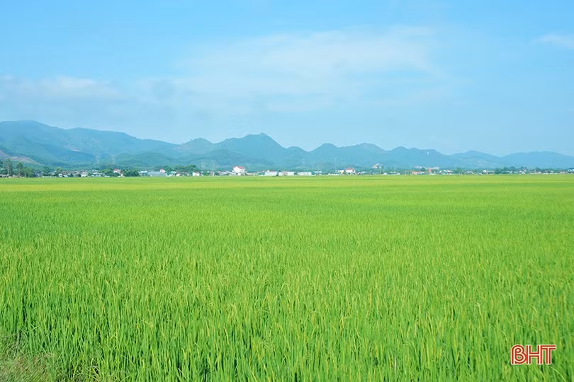 Xu hướng tất yếu của nông nghiệp số, nông nghiệp sạch tại Hà Tĩnh