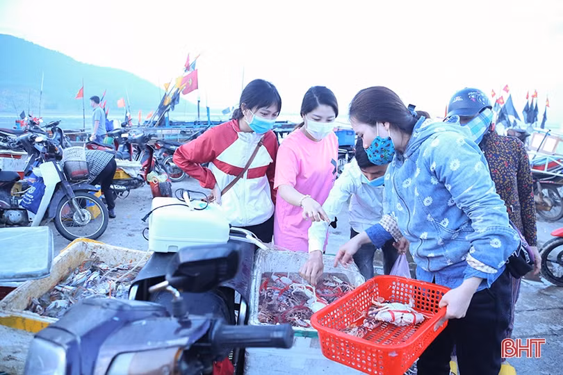 Hải sản dễ bán trong dịp lễ, ngư dân Hà Tĩnh phấn khởi vươn khơi