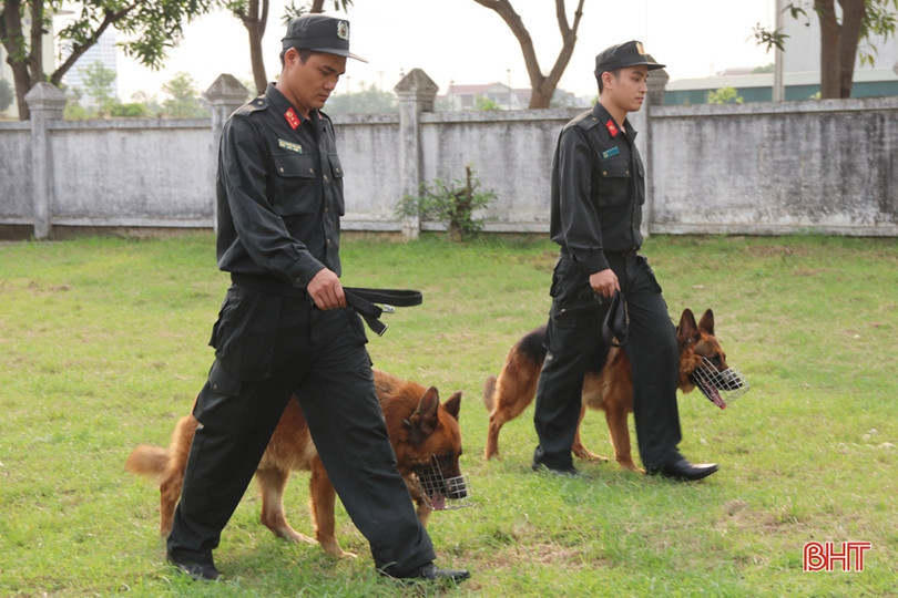 Xem cảnh sát cơ động Hà Tĩnh biểu diễn trấn áp tội phạm cùng chó nghiệp vụ ảnh 7 Xem cảnh sát cơ động Hà Tĩnh biểu diễn trấn áp tội phạm cùng chó nghiệp vụ