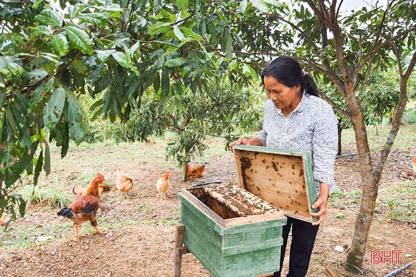 Xã vùng thượng phía Nam Hà Tĩnh dồn sức “chặng nước rút” xây dựng nông thôn mới