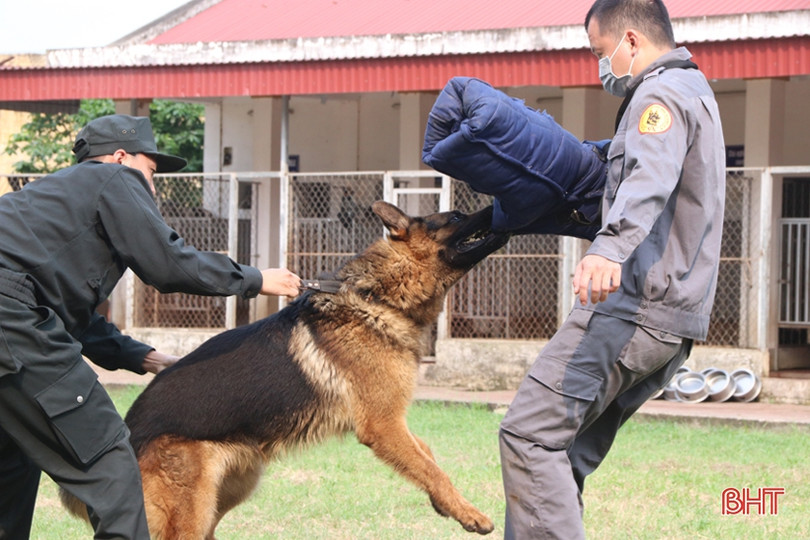 Xem cảnh sát cơ động Hà Tĩnh biểu diễn trấn áp tội phạm cùng chó nghiệp vụ ảnh 12 Xem cảnh sát cơ động Hà Tĩnh biểu diễn trấn áp tội phạm cùng chó nghiệp vụ