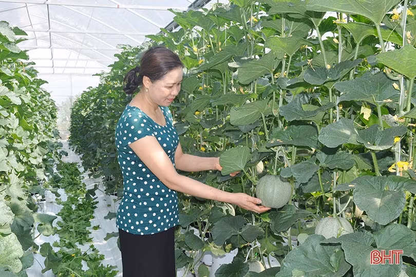 Xu hướng tất yếu của nông nghiệp số, nông nghiệp sạch tại Hà Tĩnh