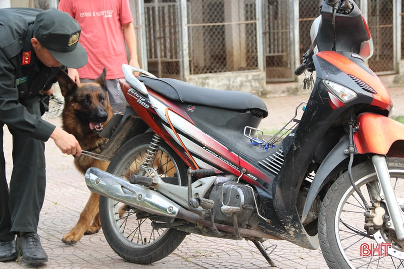 Xem cảnh sát cơ động Hà Tĩnh biểu diễn trấn áp tội phạm cùng chó nghiệp vụ ảnh 11 Xem cảnh sát cơ động Hà Tĩnh biểu diễn trấn áp tội phạm cùng chó nghiệp vụ