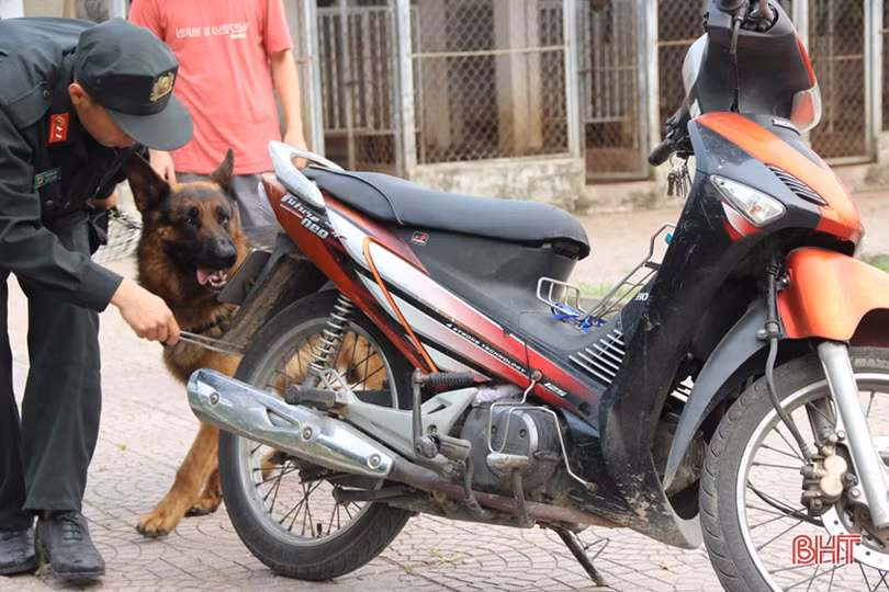 Xem cảnh sát cơ động Hà Tĩnh biểu diễn trấn áp tội phạm cùng chó nghiệp vụ