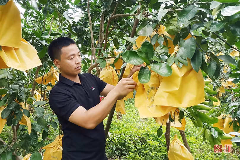 Xu hướng tất yếu của nông nghiệp số, nông nghiệp sạch tại Hà Tĩnh