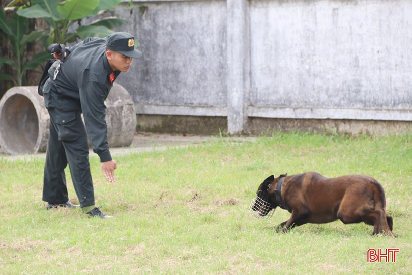 Xem cảnh sát cơ động Hà Tĩnh biểu diễn trấn áp tội phạm cùng chó nghiệp vụ ảnh 8 Xem cảnh sát cơ động Hà Tĩnh biểu diễn trấn áp tội phạm cùng chó nghiệp vụ
