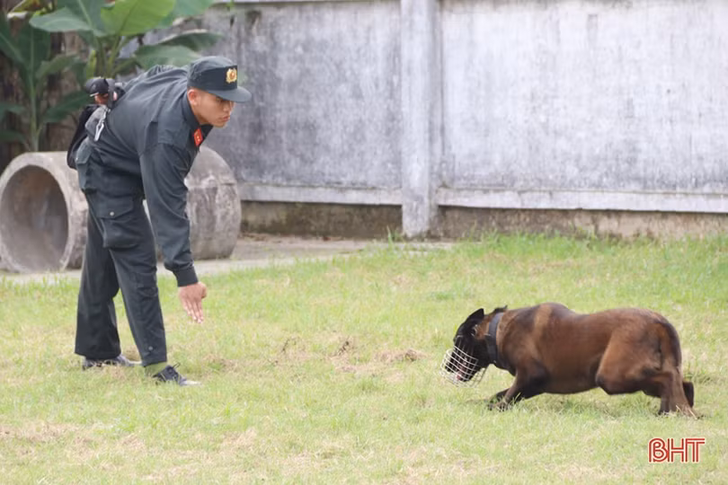 Xem cảnh sát cơ động Hà Tĩnh biểu diễn trấn áp tội phạm cùng chó nghiệp vụ