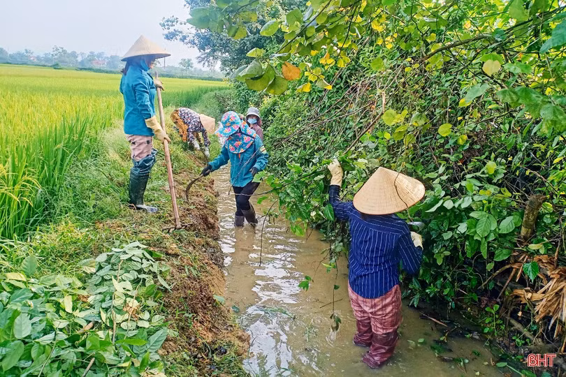 Người dân Thạch Hà sôi nổi xây dựng nông thôn mới trong kỳ nghỉ lễ