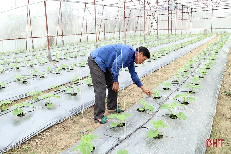 Hà Tĩnh chuyển đổi số trong nông nghiệp, tạo đột phá xây dựng tỉnh nông thôn mới