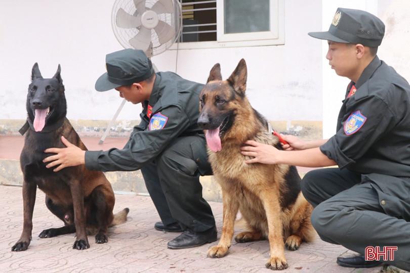 Xem cảnh sát cơ động Hà Tĩnh biểu diễn trấn áp tội phạm cùng chó nghiệp vụ ảnh 15 Xem cảnh sát cơ động Hà Tĩnh biểu diễn trấn áp tội phạm cùng chó nghiệp vụ