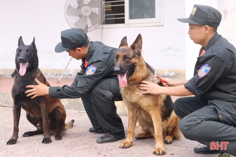 Xem cảnh sát cơ động Hà Tĩnh biểu diễn trấn áp tội phạm cùng chó nghiệp vụ