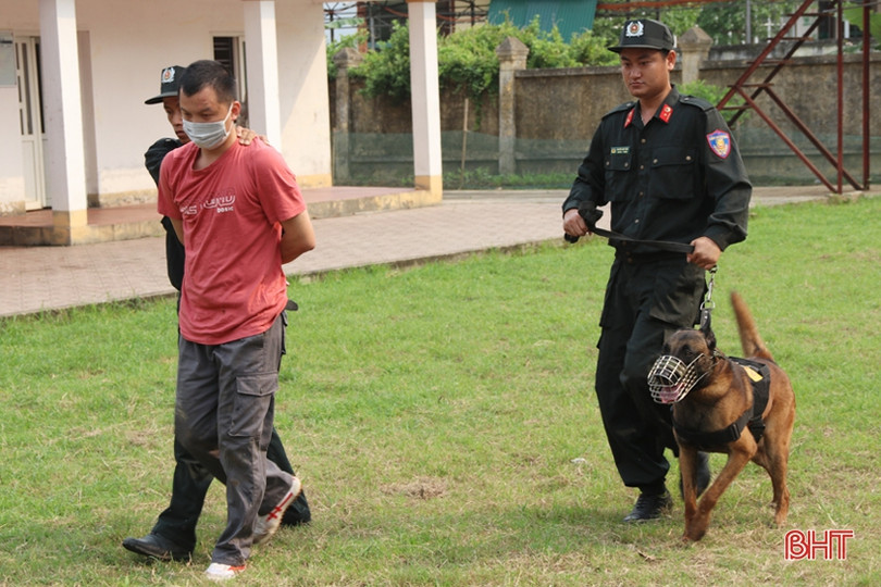 Xem cảnh sát cơ động Hà Tĩnh biểu diễn trấn áp tội phạm cùng chó nghiệp vụ ảnh 14 Xem cảnh sát cơ động Hà Tĩnh biểu diễn trấn áp tội phạm cùng chó nghiệp vụ