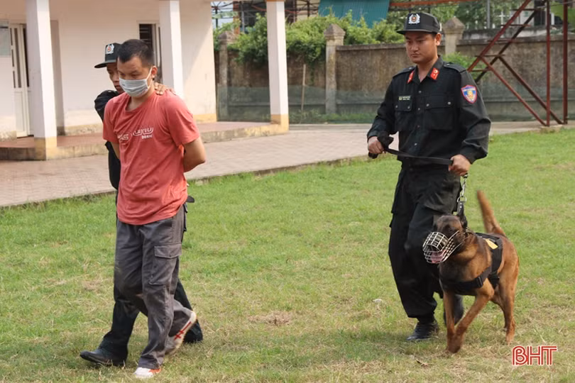 Xem cảnh sát cơ động Hà Tĩnh biểu diễn trấn áp tội phạm cùng chó nghiệp vụ