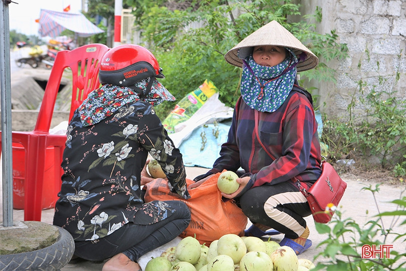 Nông dân Hà Tĩnh được mùa dưa