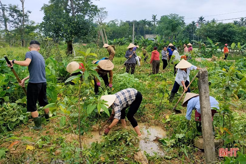Người dân Thạch Hà sôi nổi xây dựng nông thôn mới trong kỳ nghỉ lễ