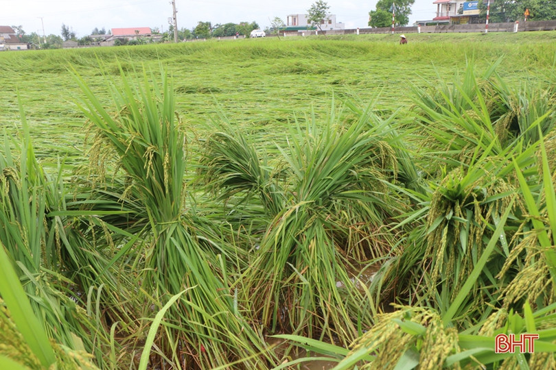 Hà Tĩnh: Cảnh báo dông lốc từ ngày 5/5