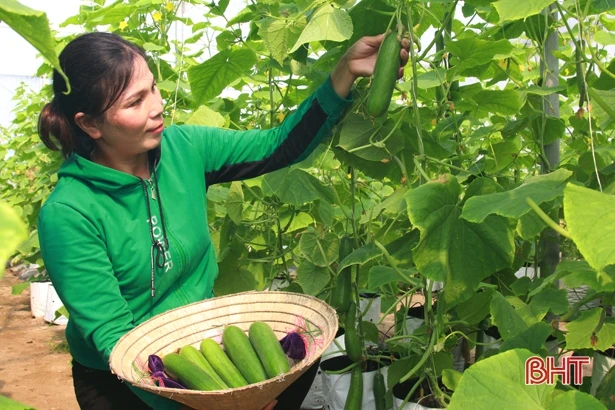 Hà Tĩnh rộn rã niềm vui hướng về ngày hội lớn