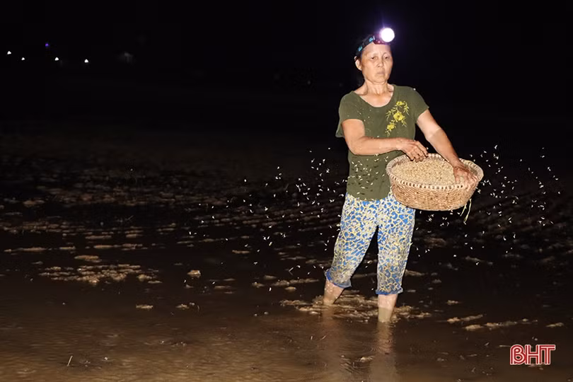 Hà Tĩnh: Thợ cày “trốn” nóng làm xuyên đêm hỗ trợ nhà nông gieo cấy sớm